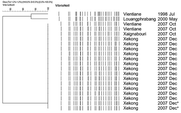 Dendrogram for NotI-digested pulsed-field gel electrophoresis profiles of Vibrio cholerae isolates, Laos, December 2007–January 2008. Origin of each isolate is shown on the right. *Water sample.
