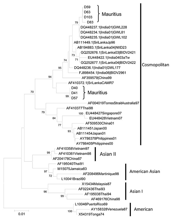 Phylogenetic relationships of dengue virus isolates from Mauritius inferred by envelope (E) gene sequence by using the maximum likelihood method as implemented in PAUP* version 4.0b10 (http://paup.csit.fsu.edu/about.html). Primers used for amplification of product for sequencing were 5′-AATCCAGATGTCATCAGGAAAC-3′ and 5′-CCTATAGATGTGAACACTCCTCC-3′. The E gene sequences were consolidated from overlapping, bidirectional sequences. Scale bar indicates nucleotide substitutions per site.