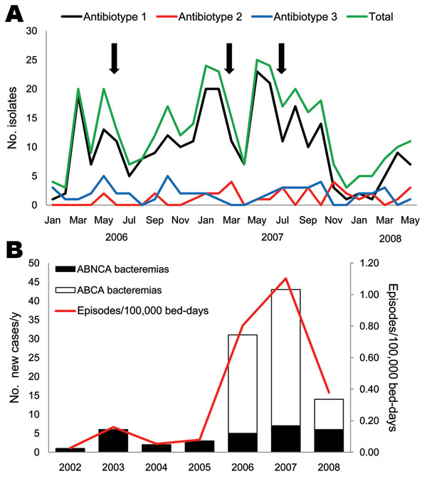 Temporal distribution of patients with Acinetobacter baumannii infections, Spain. A) Patients colonized/infected with A. baumannii classified by antibiotype. Arrows indicate times of intensification of infection control measures. The medical–surgical intensive care unit at Octubre University Hospital, Madrid, Spain, was refurbished in July 2007. B) Annual incidence of A. baumannii bacteremia. ABCA, A. baumannii clone A or AbH12O-A2; ABNCA: A. baumannii nonclone A.
