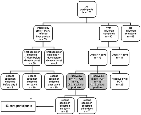 Flowchart of characteristics of 173 participants in study of shedding of pandemic (H1N1) 2009 virus, Quebec City, Quebec, Canada, May 27–July 10, 2009.