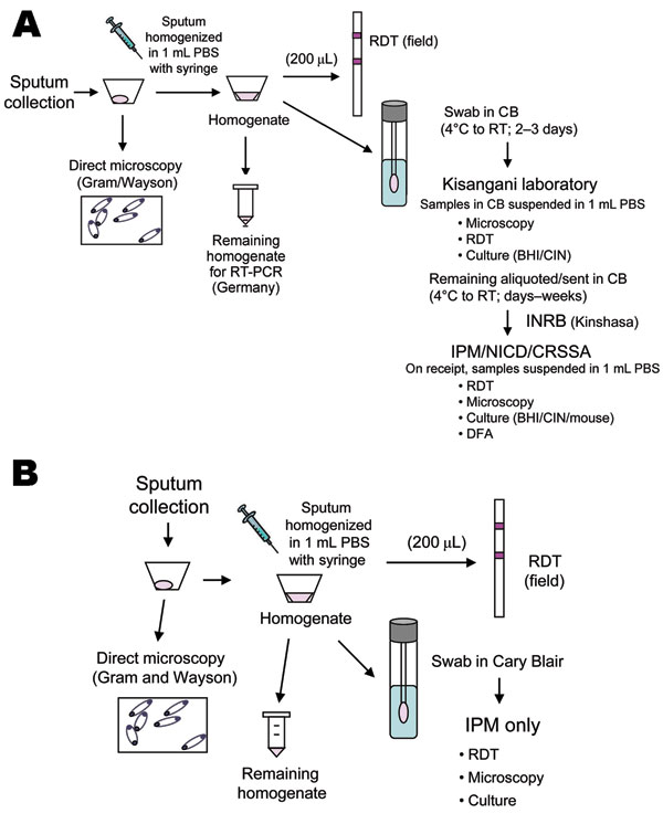 Flow of sample processing for specimens for pneumonic plague outbreaks in Zobia, Democratic Republic of the Congo (DRC), 2005 (A), and Bolebole, DRC, 2006 (B). PBS, phosphate-buffered saline; RDT, rapid diagnostic test; RT, reverse transcription; CB, Cary Blair; BHI/CIN, brain–heart infusion; cefsulodin-Irgasan-novobiocin; INRB, Institut National pour la Recherche Biologique; IPM/NICD/CRSSA, Institut Pasteur de Madagascar/National Institute for Communicable Diseases/Centre de Recherche du Servic