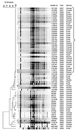 Thumbnail of Pulsed-field gel electrophoresis (PFGE) patterns of Salmonella enterica serovar Infantis isolates from clinical, food, and poultry sources isolated in Israel, 1970–2009, showing a high degree of clonality. Isolate number, year of isolation, and source are indicated. Bracket indicates I1 pulsotype pattern. Macrodigestion performed using XbaI restriction enzyme and genetic similarity (in %) was based on dice coefficients. PFGE was conducted according to the standardized Salmonella pro