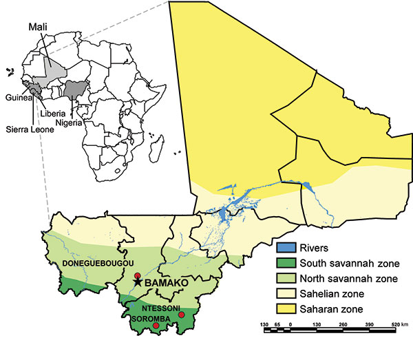 Ecozones of Mali and locations where small mammals were trapped in June 2009. Inset shows location of Mali in relation to countries where Lassa virus is endemic (shaded).