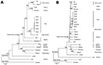 Thumbnail of Phylogenetic analysis of Lassa virus conducted on A) a 754-bp fragment of the polymerase gene (large genomic segment nucleotide positions 3427–4180) and B) a 771-bp fragment of the glycoprotein precursor (small genomic segment nucleotide positions 2526–3296). The fragments were amplified from infected rodent tissues with sequence analysis accomplished with PHYLIP version 3.69 software (http://evolution.genetics.washington.edu/phylip.html) by using the neighbor-joining method with 1,