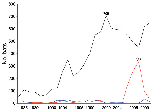Bats submitted for rabies testing in Massachusetts, USA, 1985–2009. Black line indicates Eptesicus fuscus, red line indicates Myotis lucifugus, and blue line indicates other pooled bats.