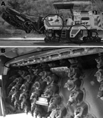 Thumbnail of Milling machine and water tank used for asphalt paving in Alcoi, Spain, 2009, during outbreak of legionellosis. The 2,000-L water tank (A, left circle) supplied the 18 atomizers (A, right circle; B, oval), which sprayed 8,000 L water/d.