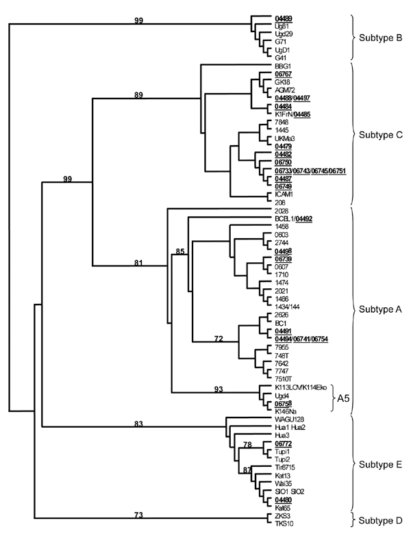 Unrooted phylogenetic tree generated with the neighbor-joining method (PAUP* version 4.0b10; http://paup.csit.fsu.edu) on the best 165-bp alignment of the variable region [VR] 1 comprising 79 human herpesvirus 8 nt sequences, including 25 novel sequences generated (GenBank accession nos. GU827339–GU827363). The strains were aligned with Data Analysis in Molecular Biology software (http://dambe.bio.uottawa.ca/software.asp), and the final alignment was submitted to the ModelTest software version 3