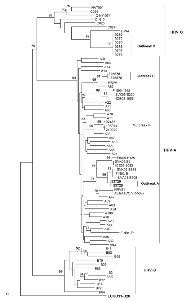 Neighbor-joining phylogenetic tree of human rhinoviruses (HRV) isolated from 4 respiratory disease outbreaks with associated deaths in long-term care facilities, Ontario, Canada. Tree was constructed by using a 549-bp nt region encoding viral capsid protein (VP) 4/VP2, along with strains representative of HRV species A, B, and C. Echo 11 is the outgroup. Bootstrap analysis used 1,000 pseudoreplicate datasets. Scale bar represents 0.1% of nucleotide changes between close relatives. Boldface indic