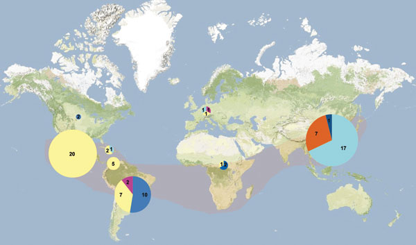 Geographic distribution of Fonsecaea spp. samples analyzed by using amplified fragment-length polymorphism. Light pink shading indicates zone of clinical Fonsecaea spp. endemicity, according to published case reports. Sizes of pies and numbers reported within the pies denote the number of strains examined; colors represent Fonsecaea spp. populations: orange, F. nubica population 1; fuchsia, F. nubica population 2; dark blue, F. monophora population 3; light blue, F. monophora population 4; yello