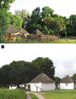 Thumbnail of A) Dielmo village in Senegal. B) Health and clinical research station in Dielmo, where a longitudinal prospective study for long-term investigation of host–parasite associations has been conducted since 1990.