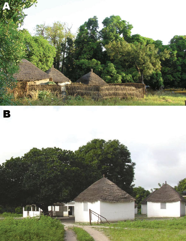 A) Dielmo village in Senegal. B) Health and clinical research station in Dielmo, where a longitudinal prospective study for long-term investigation of host–parasite associations has been conducted since 1990.