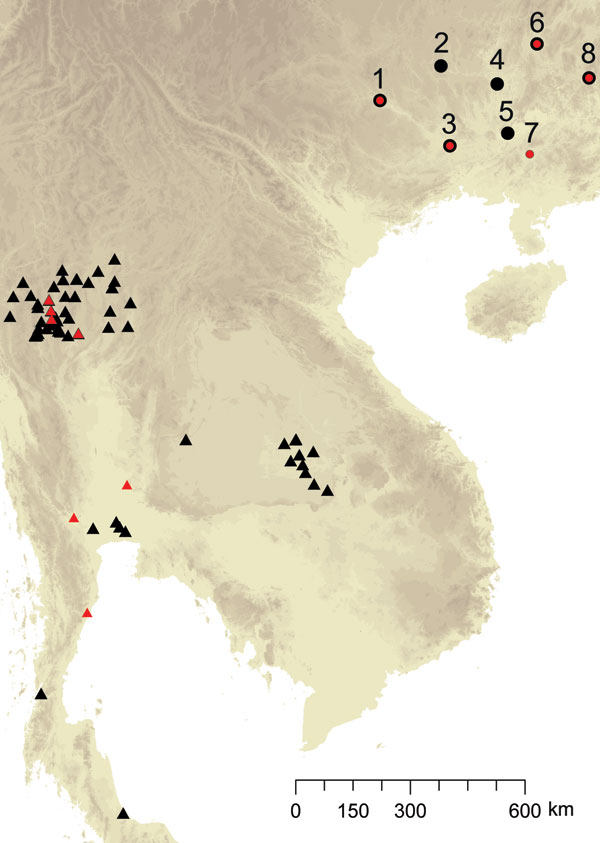Spatial distribution of sampling sites for Penicillium marneffei, Guangxi Province, People’s Republic of China. 1, Bose; 2, Hechi; 3, Nanning; 4, Liuzhou; 5, Guigang; 6, Guiling; 7, Luchan; 8, Hezhou; Black signifies origin of human-associated isolates, and red signifies origin of bamboo rat–associated isolates; both types were found in some sites.