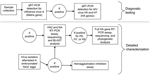 Thumbnail of Procedures followed in avian influence surveillance and analysis, Australia, 2005–2009. qRT-PCR, real-time quantitative reverse transcription–PCR; AIV, avian influenza virus; HA, hemagglutinin; NA, neuraminidase; BLAST, BLAST analysis (http://blast.ncbi.nlm.nih.gov).