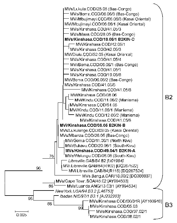 Phylogenetic tree including genotype B2 and genotype B3 of measles virus (MV) strains from the Democratic Republic of the Congo 2000–2006, and World Health Organization (WHO) reference strains (italics) of the corresponding genotypes and some other genotype B2 strains available in GenBank (accession numbers in brackets). MV strains were named according to WHO nomenclature: MVi/City of isolation.Country/epidemiologic week.year of isolation/isolate number. Sequences obtained from RNA extracted fro