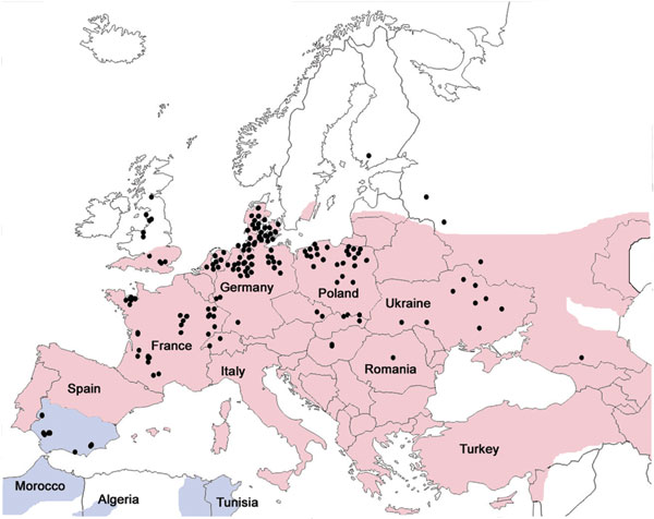 Geographic distribution of Eptesicus serotinus bats (red), E. isabellinus bats (blue), and cases of rabies in bats (green dots), Europe, 1990–2009. Obtained from Rabies Bulletin Europe (www.who-rabies-bulletin.org/).
