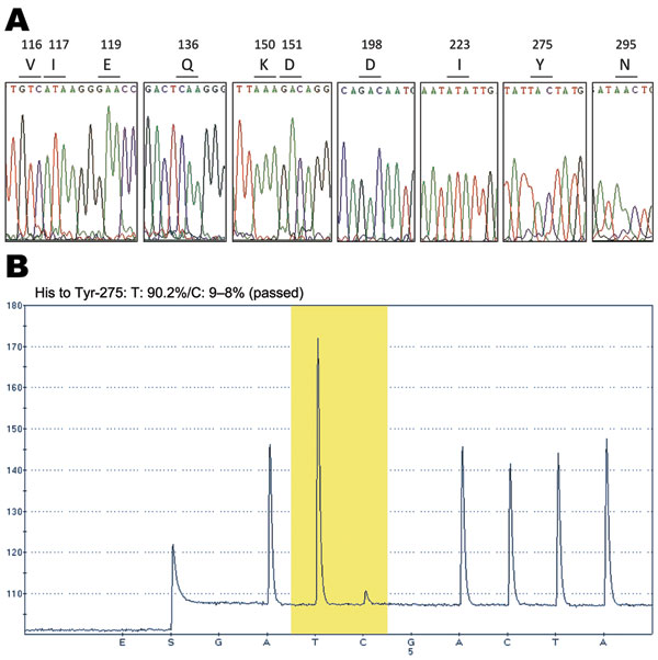 DNA sequence electropherograms for neuraminidase (NA) gene sequences. A) Analysis of molecular markers (V116, I117, E119, Q136, K150, D151, D198, I223, H275, and N295) for oseltamivir and/or zanamivir resistance among the pandemic (H1N1) 2009 virus isolates. The oseltamivir resistance–conferring mutation CAC (histidine) to TAC (tyrosine) at position 275 was detected in the InDRE797 sample. B) Detection of the H275Y mutation in the NA of the viruses by single-nucleotide polymorphism analysis at N