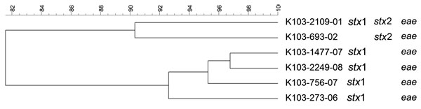 Dendrogram of Shiga toxin–producing Escherichia coli O103 strains isolated from human patients, Switzerland, 2000–2009. stx, Shiga toxin gene; eae, intimin gene. Scale bar indicates degree of similarity (%).