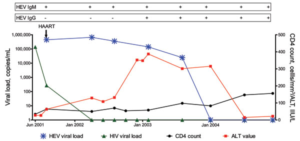 Longitudinal description of blood hepatitis E virus (HEV) serology, HEV RNA, alanine aminotransferase (ALT) levels, HIV RNA, and CD4 count in patient with chronic HEV infection, positive results by real-time PCR for HEV RNA, and seroconversion to immunoglobulin (Ig) G. HAART, highly active antiretroviral therapy.