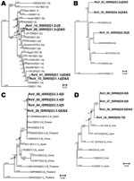 Thumbnail of Neighbor-joining phylogenetic trees for viral protein (VP) 7 G1, G2, G3, and G9 genotypes of hospitalized children in Israel, including sequences recovered from archived rotavirus dipsticks. Representative isolates for lineages and sublineages of VP7 genotypes G1 (A), G2 (B), G3 (C), and G9 (D) were chosen from Phan et al. (15) Page and Steele (16), Wang et al. (17), and Martinez-Laso et al. (18), respectively, and the sequences were downloaded from the European Molecular Biology La