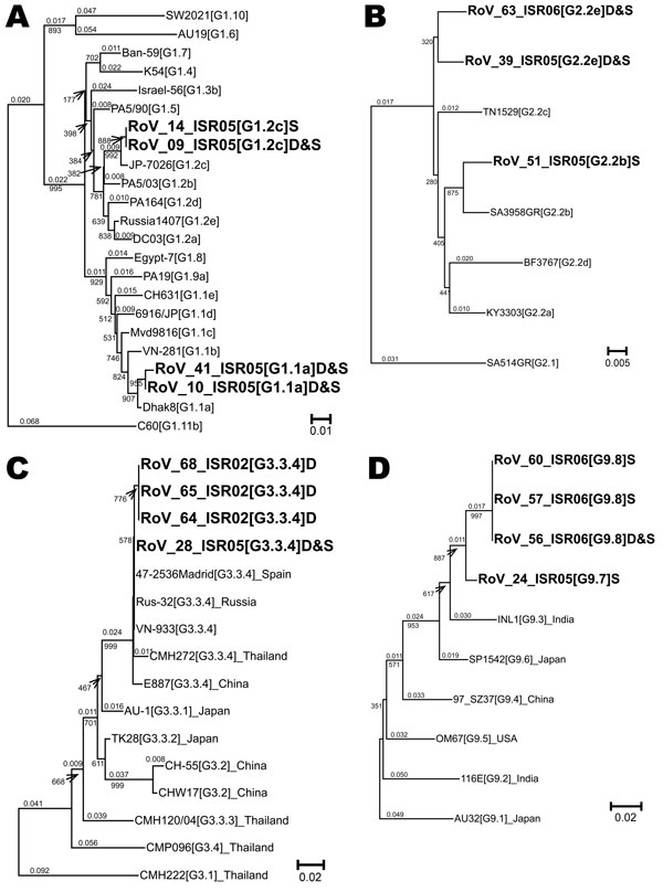 Neighbor-joining phylogenetic trees for viral protein (VP) 7 G1, G2, G3, and G9 genotypes of hospitalized children in Israel, including sequences recovered from archived rotavirus dipsticks. Representative isolates for lineages and sublineages of VP7 genotypes G1 (A), G2 (B), G3 (C), and G9 (D) were chosen from Phan et al. (15) Page and Steele (16), Wang et al. (17), and Martinez-Laso et al. (18), respectively, and the sequences were downloaded from the European Molecular Biology Laboratory/GenB