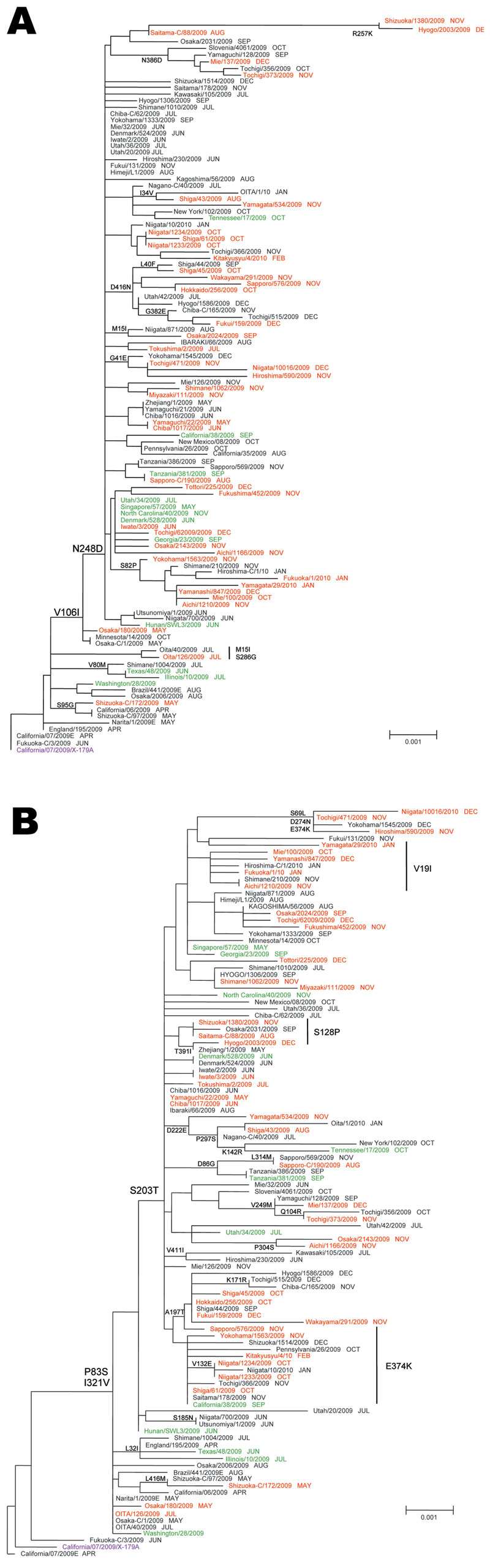 Phylogenetic analysis of influenza pandemic (H1N1) 2009 viruses neuraminidase (NA) (A) and hemagglutinin (HA) genes (B). Most pandemic (H1N1) 2009 viruses possessed the amino acid substitutions S203T in HA and V106I and N248D in NA. Red, oseltamivir-resistant pandemic (H1N1) 2009 from Japan; green, oseltamivir-resistant pandemic (H1N1) 2009 from outside Japan; black, oseltamivir-susceptible (OS) pandemic (H1N1) 2009; purple, 2009–10 current vaccine strains. The sampling month of each isolate is