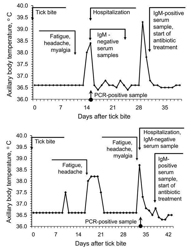 Examples of relapsing fever episodes in 2 patients with Borrelia miyamotoi infection. Arrows indicate the timing of tick bite, hospital admission, PCR testing, anti-borreliae immunoglobulin (Ig) M testing, and initiation of antimicrobial drug therapy.