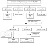 Thumbnail of Distribution of malaria cases diagnosed by microscopy and PCR among children &lt;15 years of age, Kudat, Malaysia, January 1–November 30, 2009. P.m., Plasmodium malariae; P.f., P. falciparum; P.v., P. vivax; P.k., P. knowlesi.