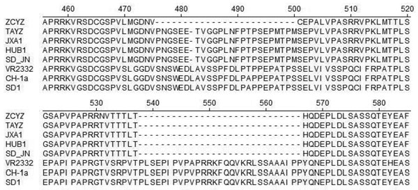 Amino acid sequence alignments of partial nonstructural protein 2 genes of porcine reproductive and respiratory syndrome virus isolates, China. Dashes indicate deletions.