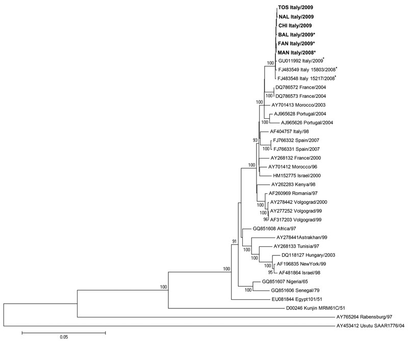 Genomic region encompassing nonstructural (NS) 3, NS4a, NS4b, and NS5 genes. Phylogenetic tree and distance matrices were constructed by using nucleotide alignment, the Kimura 2-parameter algorithm, and the neighbor-joining method implemented in MEGA version 4.1 (www.megasoftware.net/mega4/mega41.html). The tree was rooted by using Usutu virus as the outgroup virus. The robustness of branching patterns was tested by 1,000 bootstrap pseudoreplications. The percentage of successful bootstrap repli