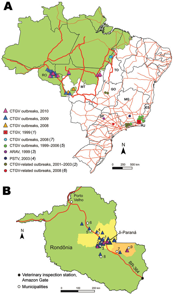 Location of vaccinia virus Cantagalo strain (CTGV)–related outbreaks. A) Brazilian states where CTGV-related outbreaks have been reported. RJ, Rio de Janeiro; SP, São Paulo; ES, Espírito Santo; MG, Minas Gerais; GO, Goiás; TO, Tocantins; MT, Mato Grosso; RO, Rondônia. B) An enlarged map of Rondônia showing the location of the outbreaks along highway BR-364. The 2 largest dairy regions and the municipalities referred in this article are also shown: 1, Ouro Preto D’Oeste; 2, Teixeirópolis; 3, Urup