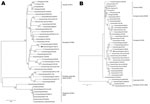 Thumbnail of Phylogenetic analysis of influenza A virus hemagglutinin (A) and neuraminidase (B) genes. Trees were constructed by using the neighbor-joining method. Solid diamonds indicate A/swine/England/1382/10 genes from virus isolated in this study, and open diamonds indicate genes from other viruses reported in this study. Percentage of replicate trees in which the associated taxa clustered together in the bootstrap test (1,000 replicates) is shown next to the branches for values &gt;70% (11