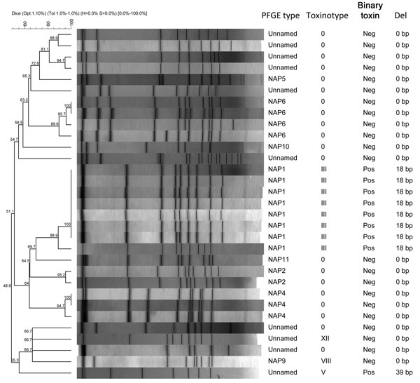 Characteristics of isolates obtained from patients with Clostridium difficile infection, Maryland and Connecticut, USA, May 2002–July 2007. PFGE, pulsed-field gel electrophoresis.