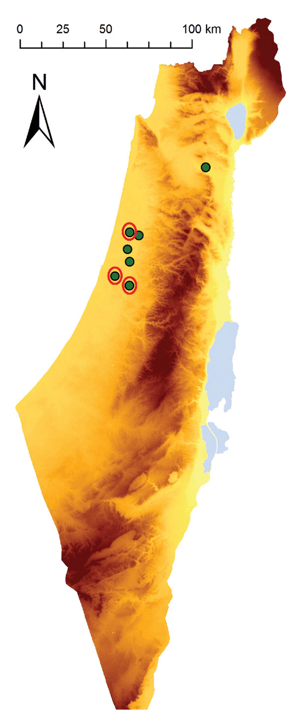Geographic location of farms in Israel with horses showing signs of equine encephalosis virus (EEV) infection. Eight horses with suspected EEV infection lived on 7 farms. Red circles indicate farms with EEV-positive cases.