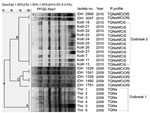 Thumbnail of Digested pulsed-field gel electrophoresis (PFGE) profiles of Shigella sonnei outbreak isolates, India (Thiruvananthapuram, Kerala; Kolhapur, Maharashtra), by cluster analysis and comparison with sporadic isolates (IDH). Thir, isolates from Thiruvananthapuram, Kerala; Kolh, isolates from Ispurli, Shiroli Taluk, Kolhapur district, Maharashtra; IDH, isolates from Kolkata, West Bengal; R, resistance; T, tetracycline (30 µg); Q, co-trimoxazole (25 µg); Na, nalidixic acid (30 µg); Nf, nor