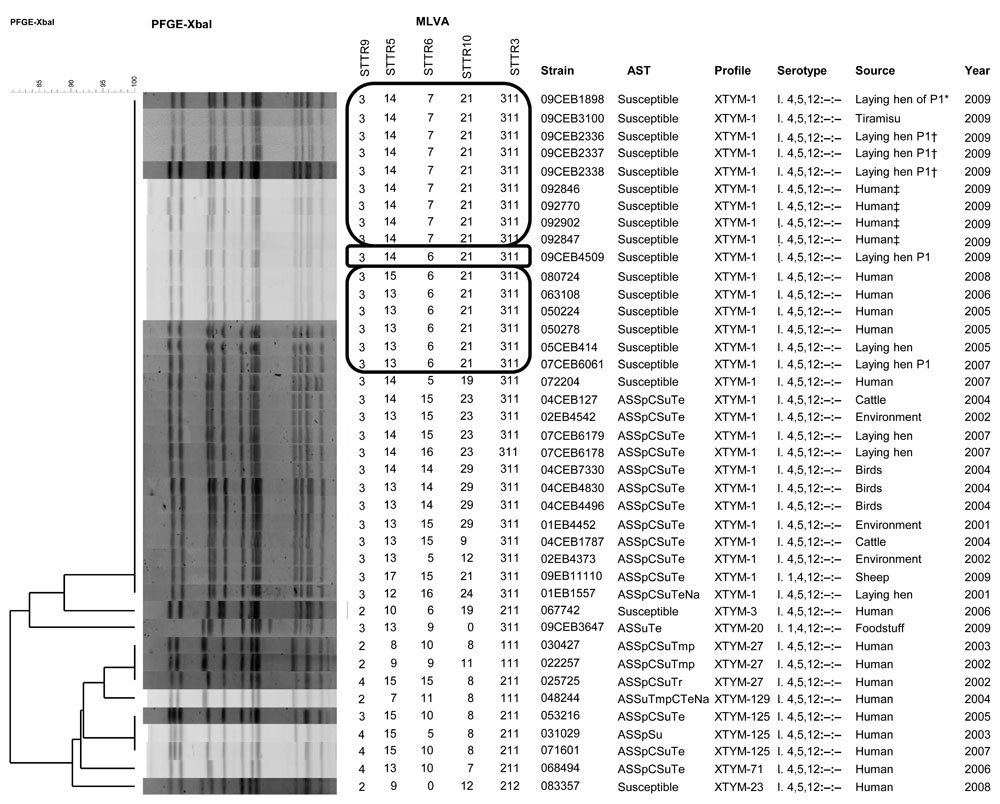 Phylogenetic analysis of XbaI–pulsed-field gel electrophoresis (PFGE) profiles obtained among a subset of 40 selected nonmotile Salmonella enterica serotype 1,4,[5],12:–:– strains isolated from humans and nonhumans during 2001–2009, France. Multilocus variable number tandem repeat analysis (MLVA), strain code, antimicrobial susceptibility testing (AST), PFGE profile found in our PFGE Typhimurium database, antigenic formula (serotype), and source and year of isolation are indicated to the right o