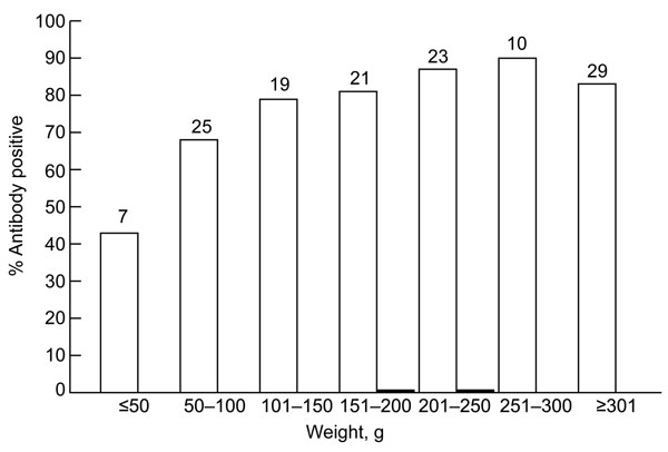 Relationship between prevalence of antibodies against hepatitis E virus (HEV) and weight of Rattus norvegicus rats trapped in Los Angeles, California, USA. Rats reach sexual maturity at a weight of ≈150–200 g. White bars indicate IgG, and black bars indicate IgM. Numbers at the top of each bar indicate sample size.