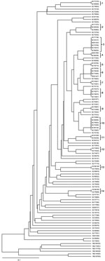 Thumbnail of Dendrogram of 100 multidrug-resistant tuberculosis cases analyzed by using the RD105 deletion test and the MIRU-VNTR method. RD, region of difference; MIRU-VNTR, mycobacterial interspersed repetitive unit–variable number of tandem repeats; B, Beijing family; NB, no Beijing family. Scale bar indicates nucleotide substitutions per site.