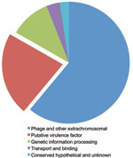 Thumbnail of Haemophilus influenzae biogroup aegyptius (Hae)–specific features (163 coding sequences [CDSs]) determined from the pan-genome comparison. Putative virulence factors (red) accounted for ≈22% (13 CDSs) of all features identified.