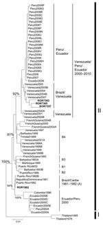 Thumbnail of Phylogenetic tree demonstrating the 2 clusters of dengue virus serotype 4 correctly associated with corresponding genotypes: genotype II, American strains, including strains isolated in Roraima in 2010; and genotype I, 2 Asian strains. Boldface indicates strains isolated in Roraima. Scale bar indicates 1% nucleotide sequence divergence.