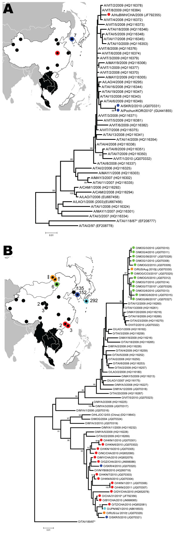 Unrooted neighbor-joining trees showing nucleotide sequence relationships between A) serotype A and B) serotype O foot-and-mouth disease (FMD) viruses from eastern Asia (red, China; dark blue, South Korea; orange, Russia; green, Mongolia; light blue, Japan) compared with closely related virus sequences from countries in mainland Southeast Asia to which FMD is endemic (black areas). Thirty-one viral protein 1 nucleotide sequences obtained during this study have been submitted to GenBank (accessio