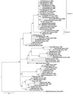 Thumbnail of Fifty-two complete sequences of Rift Valley fever virus small genome segments aligned and analyzed by maximum-likelihood techniques with 1,000 replicate bootstrap values (TREEFINDER) or by the Bayesian program (MrBayes).