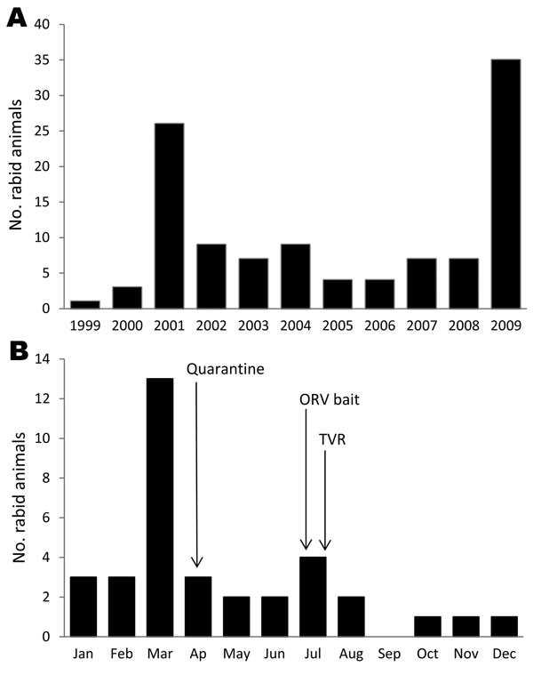 Reported rabid animals, Coconino County, Arizona, USA. A) Number of rabid animals confirmed by laboratory testing, 1999–2009. B) Number of rabid animals during 2009 and response activities. ORV bait, oral rabies vaccination bait; TVR, trap, vaccinate, release campaign.