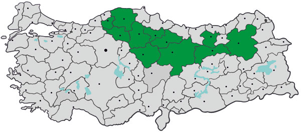 Provinces in Turkey where the study was conducted and to which Crimean-Congo hemorrhagic fever virus is endemic (green), January–April 2009. Gray indicates other provinces and dots indicate major cities.