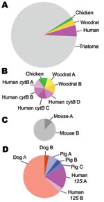 Thumbnail of Types of blood meals found by using cytB and 12S assays in insect vector species that carry Trypanosoma cruzi, the pathogen that causes Chagas disease, Arizona and California, USA, 2007 and 2009. Circle size is proportional to the sample size for that comparison. A) Vertebrate taxa and vector DNA (n = 71 sequences), showing that the cytB assay amplified vector DNA more often than blood meal DNA. B) Four vertebrate taxa among the blood meals detected by the cytB assay (n = 7 sequence