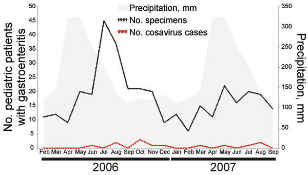 Detection pattern of cosavirus in children with gastroenteritis throughout different seasons during 2006–2007, Brazil. Temperature was not plotted because it varied little from mean 25.2°C through the year (range 23.6–26.7°C). Precipitation data were obtained from the German Weather Service and represent means throughout 1961–1990.