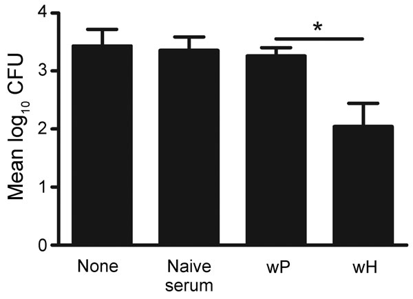 Supplementation of whole-cell pertussis vaccine (wP) with B. holmesii- but not B. pertussis- specific antibodies. Groups of four wP-vaccinated C57BL/6 mice were left untreated (none) or treated with naive serum, wP-induced sereum, or whole-cell Bordetella holmesii vaccine (wH)–induced serum, and challenged with B. holmesii. Bacterial numbers in the lungs on day 3 postinoculation are shown. Error bars indicate SE. *p&lt;0.05.