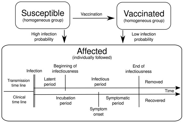Schematic diagram of stochastic outbreak models to estimate the expected size of a measles outbreak in a school, depending on the delay between detection and implementation of a complete school outbreak-response vaccination campaign. Susceptible persons (susceptibles) become affected if they are infected and become vaccinated after vaccination is implemented. Vaccinated persons (vaccinated) can also be infected but with lower probability than susceptible persons. Those who become affected are fo