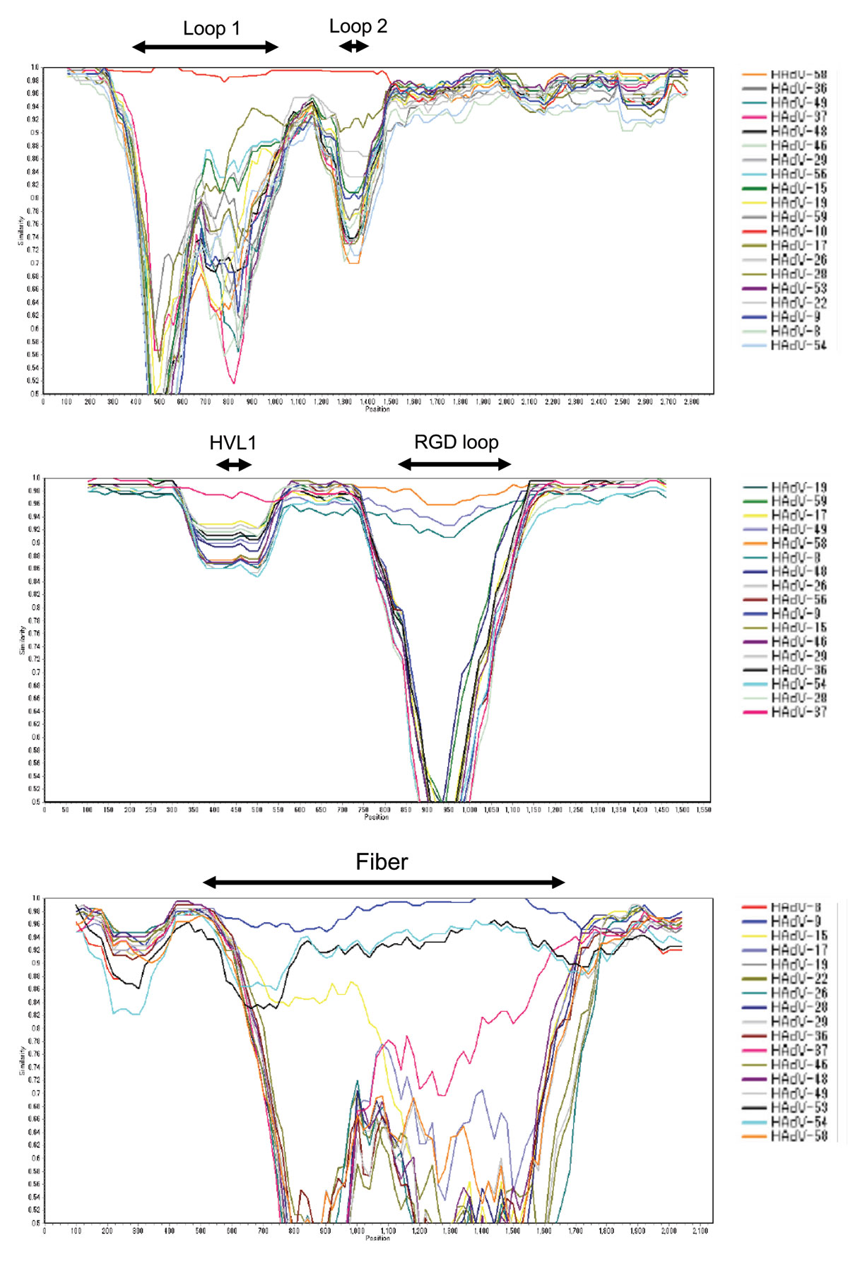 SimPlot analyses for identifying recombination sites in the hexon gene (A), penton base gene (B), and fiber gene, including the outside of the coding sequence, (C) of human adenoviruses (HAdVs). The x-axes indicate nucleotide positions in these genes, and the y-axes indicate similarities between HAdV-65 and other HAdV-D reference strains. Parameters used were a 200-bp window, a 20-bp step, and a Kimura 2-parameter. HVL1; hypervariable loop 1; RGD, Arg-Gly-Asp.