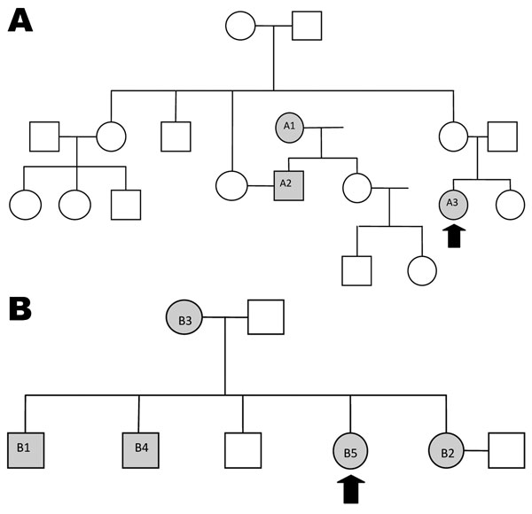Patients with drug-resistant tuberculosis in families 1 (A) and 2 (B), South Africa, 2008–2010. Gray shading indicates person identified with tuberculosis; arrows indicate child index case-patients; circles indicate female family members; squares indicate male family members.