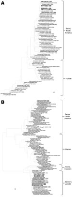 Thumbnail of Phylogenetic analysis of the A) hemagglutinin and B) matrix genes of influenza A(H3N2)v viruses. Sequences obtained from human A(H3N2)v isolates in the United States during 2011 are shown in boldface; sequences of proposed vaccine virus are underlined. Scale bars indicate number of base substitutions per site.
